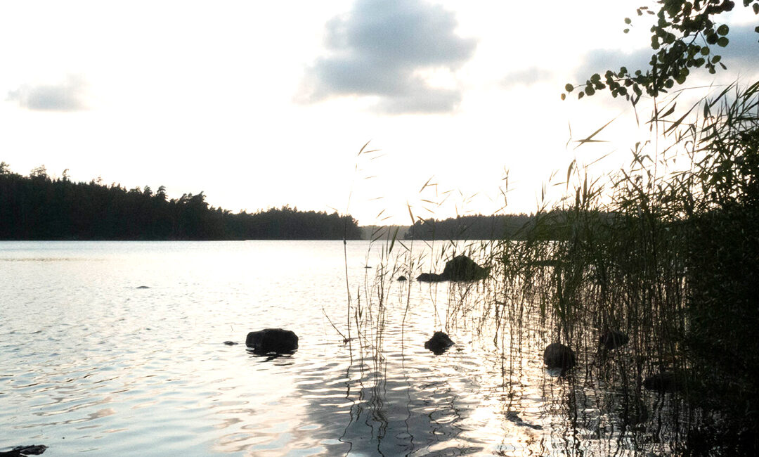 Det Tredje Øje; Ajna Chakra og Pinealkirtlen