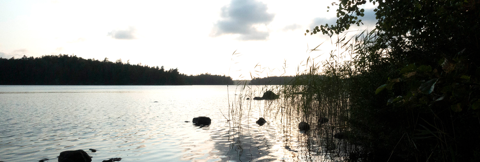 detandetlegeme_topfoto_sø_2024