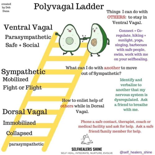 ventral vagal