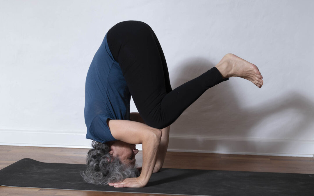 Klassisk Hatha Yoga på Ingemannsvej, Frederiksberg. Øvede