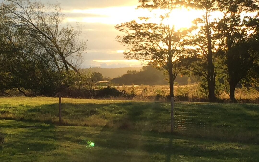 Fleksibilitet og bevidsthed