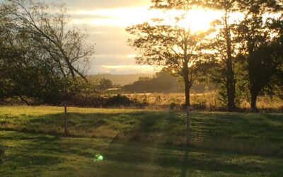 Fleksibilitet og bevidsthed